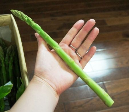 るぅのおいしいうちごはん