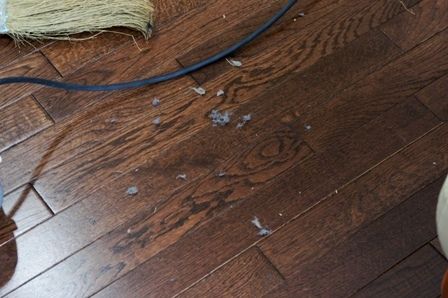 るぅのおいしいうちごはん