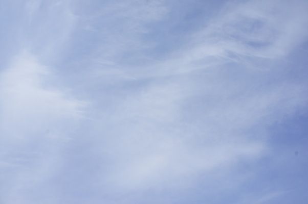 るぅのおいしいうちごはん