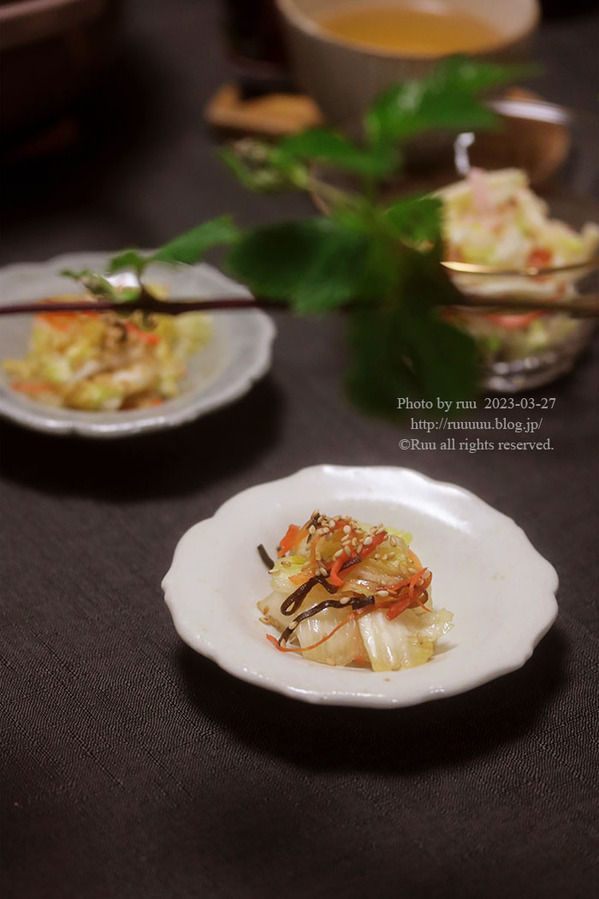 0B8A3013 のコピー