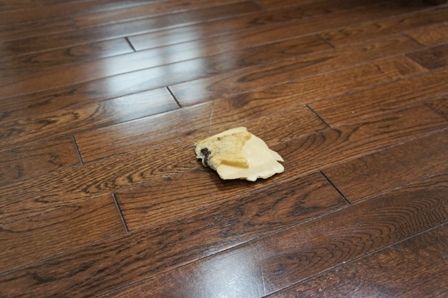 るぅのおいしいうちごはん