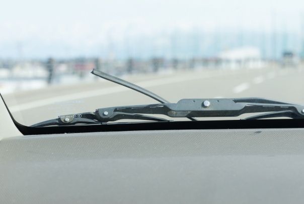 るぅのおいしいうちごはん