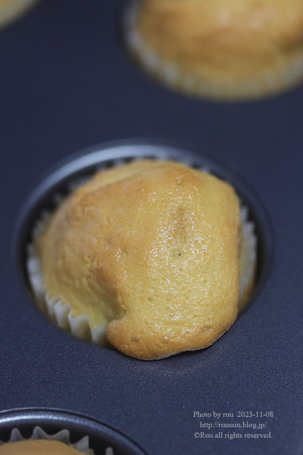 0B8A4920 のコピー 2