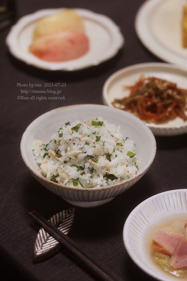 0B8A2033 のコピー