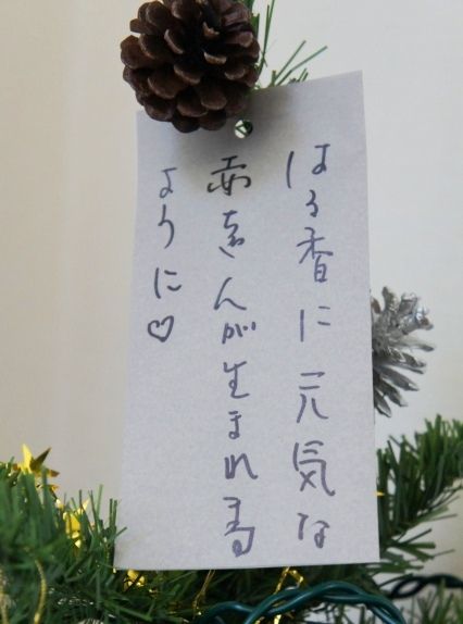るぅのおいしいうちごはん