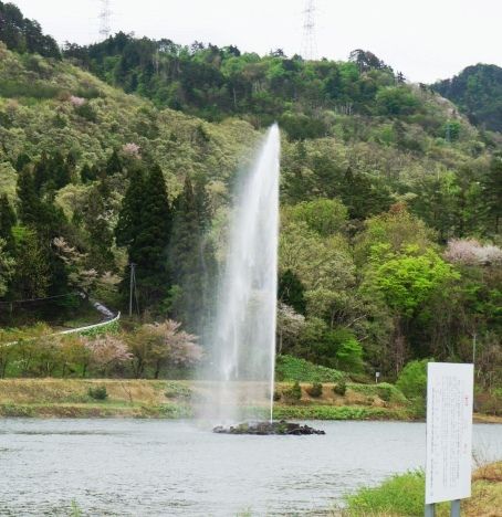 るぅのおいしいうちごはん