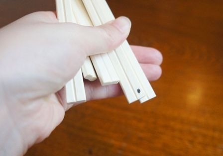 るぅのおいしいうちごはん