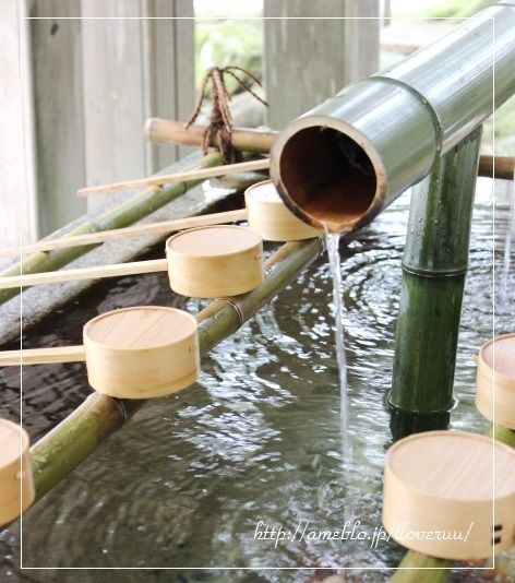 るぅのおいしいうちごはん