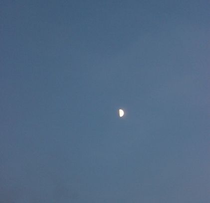 るぅのおいしいうちごはん