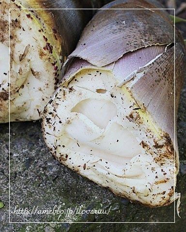 るぅのおいしいうちごはん