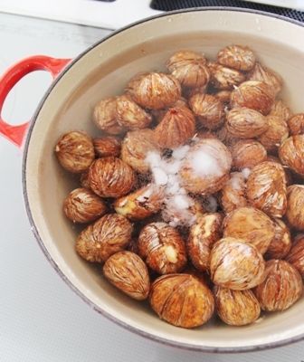 るぅのおいしいうちごはん