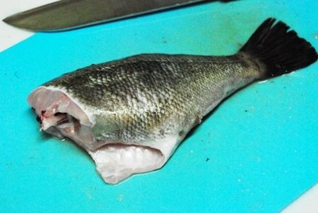るぅのおいしいうちごはん