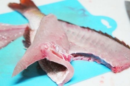 るぅのおいしいうちごはん