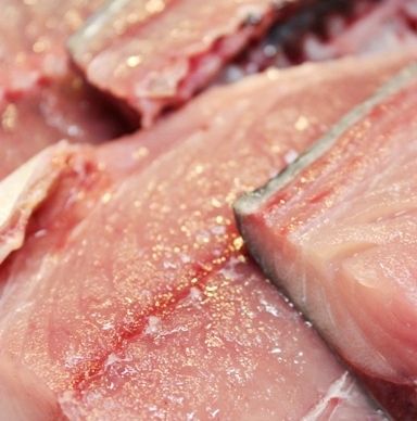 るぅのおいしいうちごはん