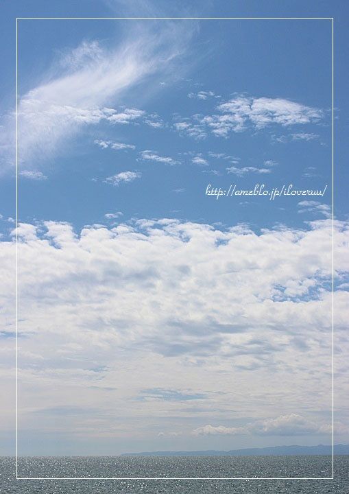 るぅのおいしいうちごはん