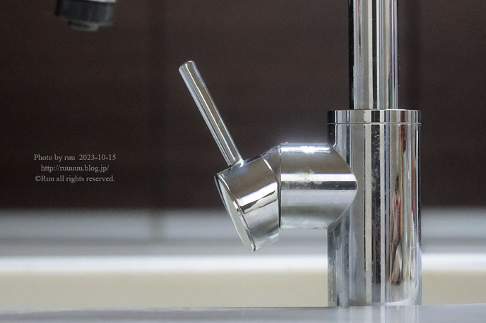 0B8A5832 のコピー2