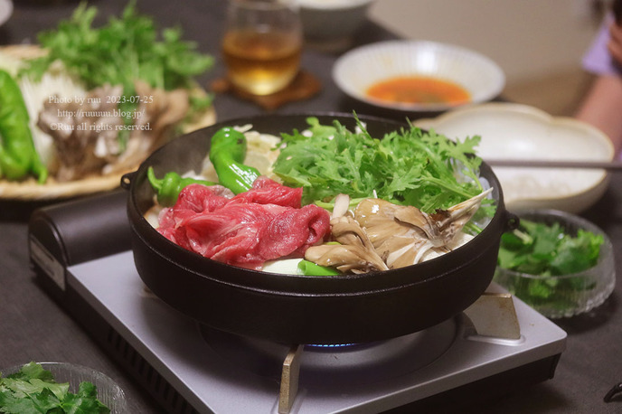 0B8A2097 のコピー