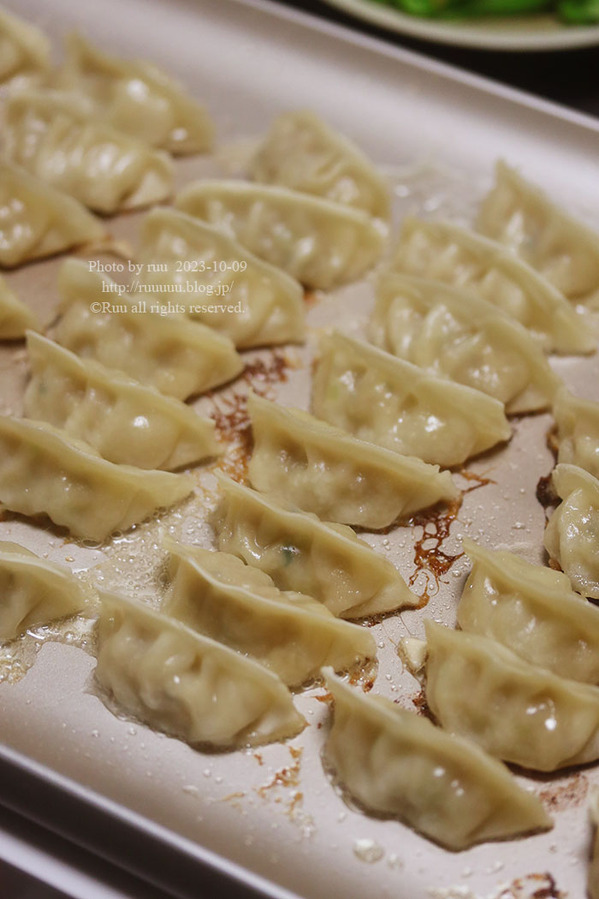 0B8A5421 のコピー