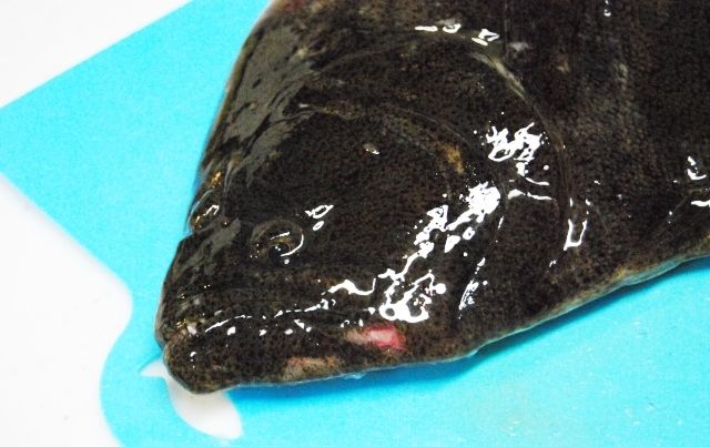 るぅのおいしいうちごはん