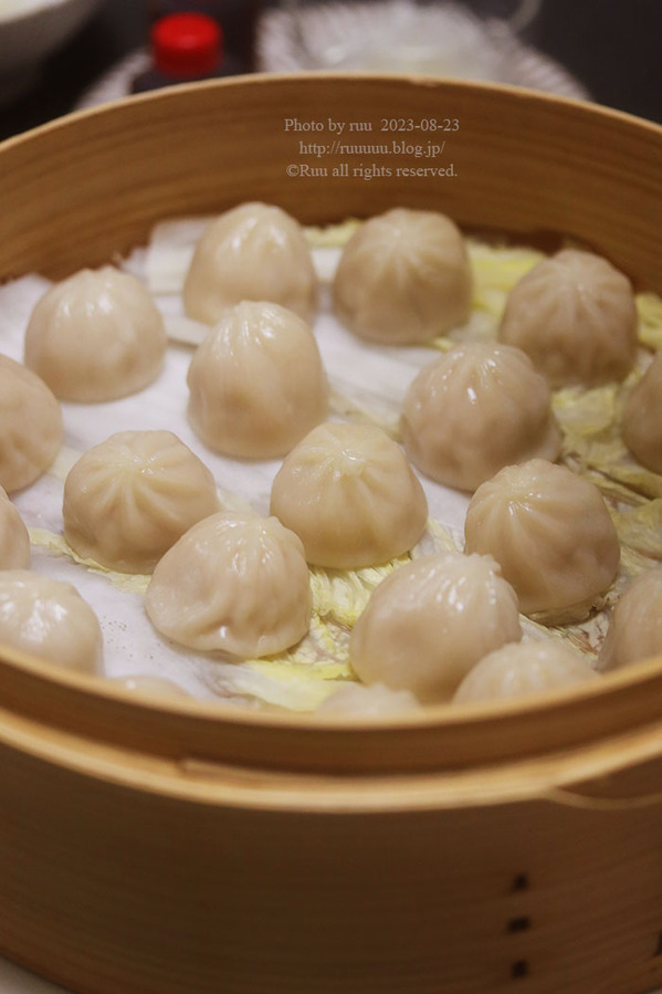 0B8A3067 のコピー