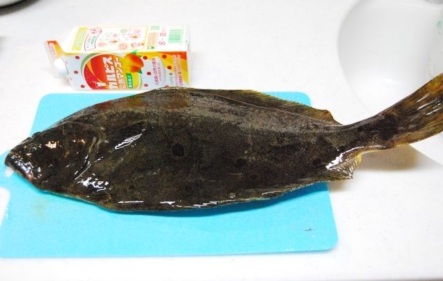 るぅのおいしいうちごはん