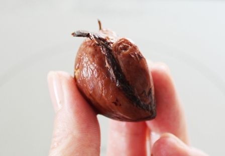 るぅのおいしいうちごはん