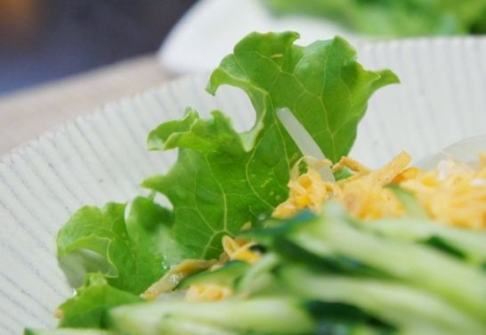 るぅのおいしいうちごはん