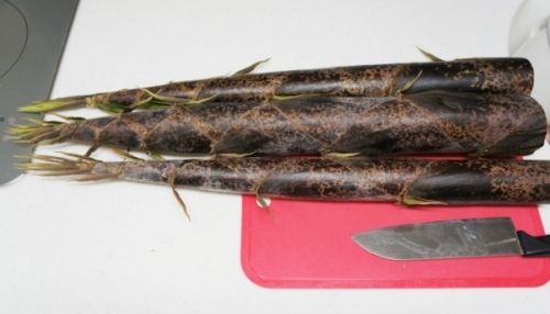 るぅのおいしいうちごはん