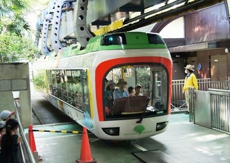 るぅのおいしいうちごはん