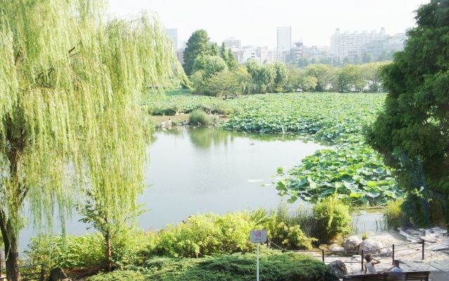 るぅのおいしいうちごはん