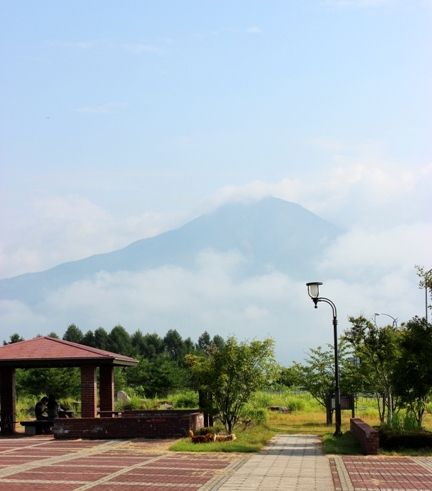 るぅのおいしいうちごはん