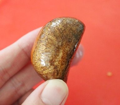 るぅのおいしいうちごはん