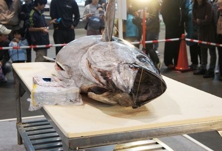 るぅのおいしいうちごはん