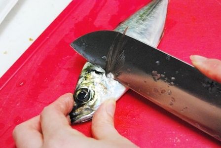るぅのおいしいうちごはん