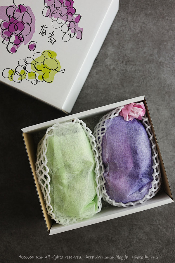 0B8A7299 のコピー