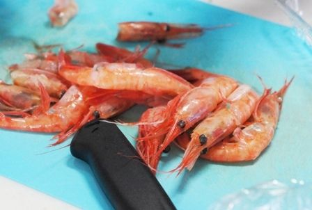 るぅのおいしいうちごはん