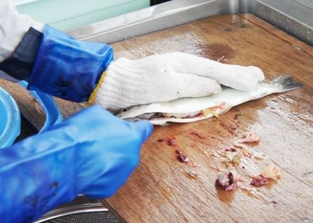 るぅのおいしいうちごはん