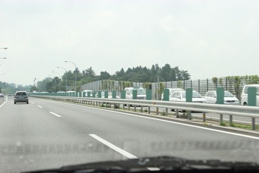 るぅのおいしいうちごはん