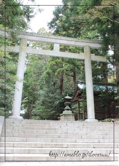 るぅのおいしいうちごはん