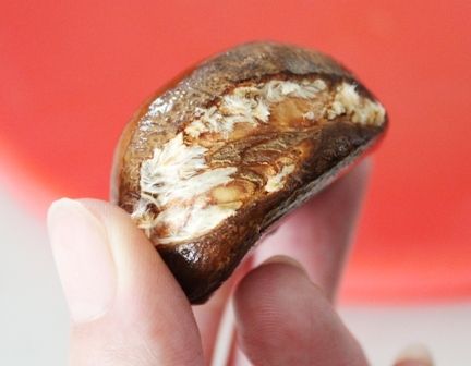 るぅのおいしいうちごはん