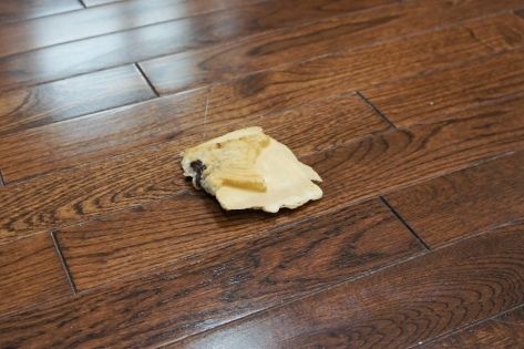 るぅのおいしいうちごはん