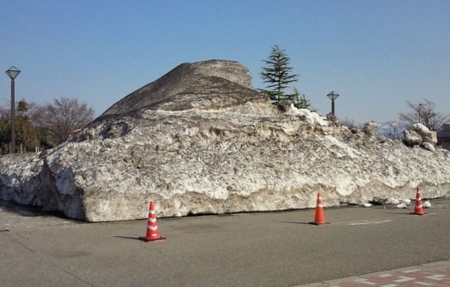 るぅのおいしいうちごはん