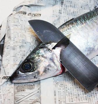 るぅのおいしいうちごはん