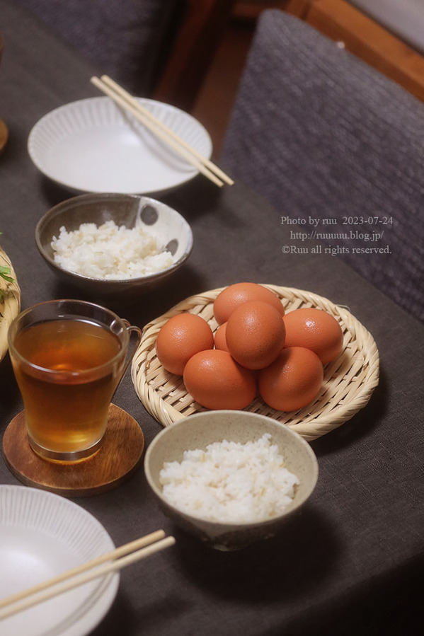 0B8A2066 のコピー