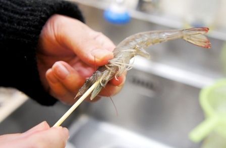 るぅのおいしいうちごはん