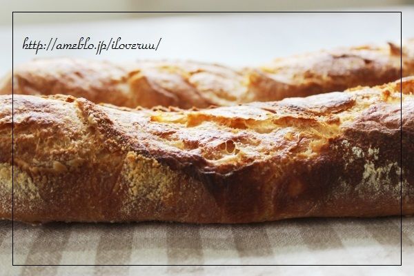 るぅのおいしいうちごはん