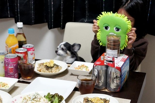 るぅのおいしいうちごはん