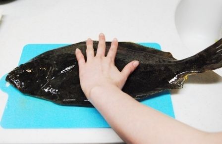 るぅのおいしいうちごはん
