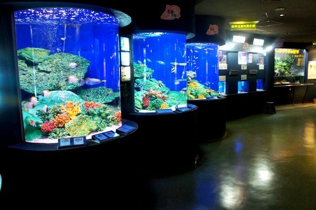 るぅのおいしいうちごはん