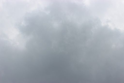 るぅのおいしいうちごはん